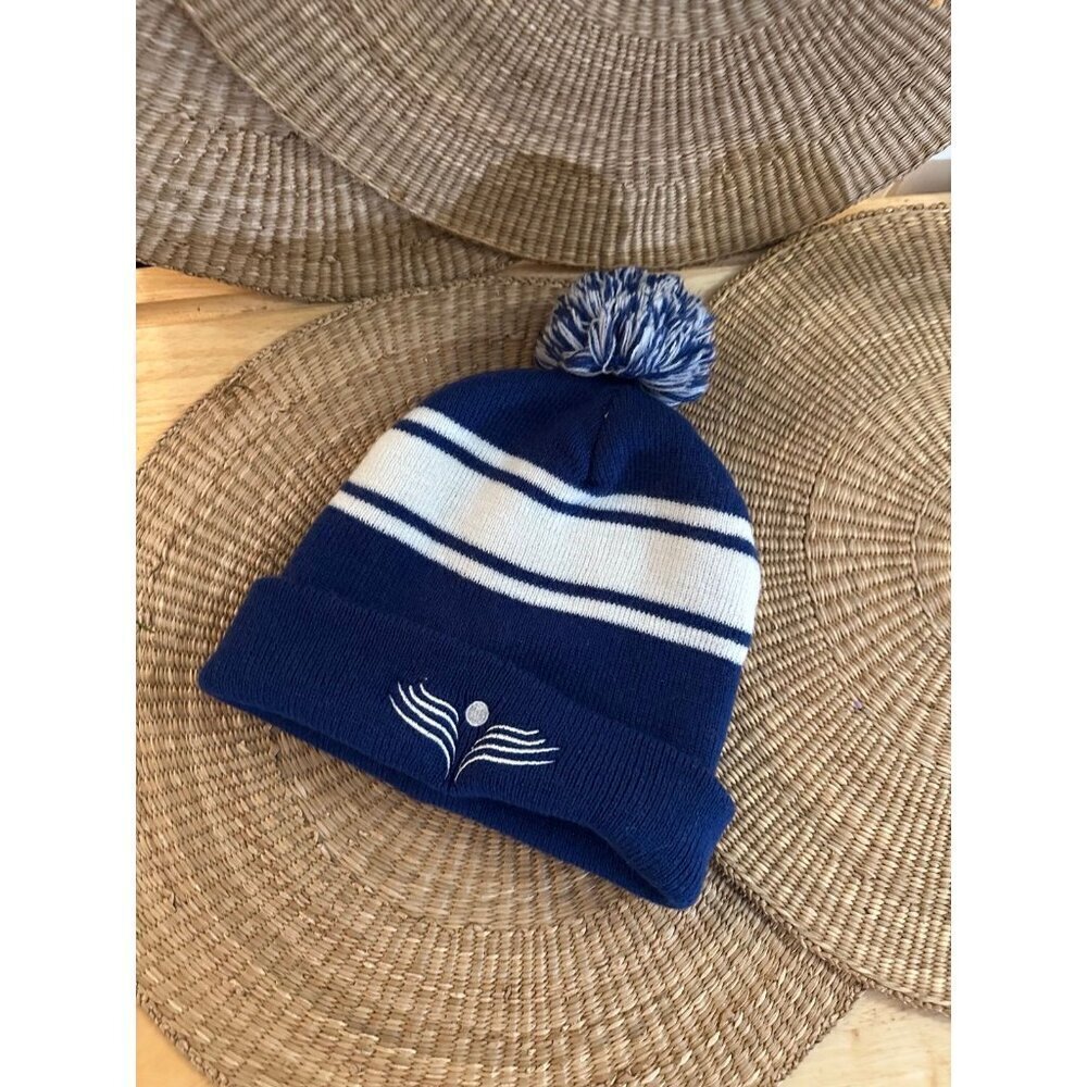 Blue and white striped beanie